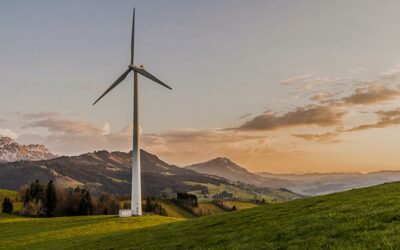 Leyes medioambientales y neutralidad climática: ¿el fin del cambio climático?