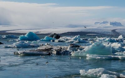 Los 9 límites del planeta y su estado actual: del cambio climático al consumo de agua