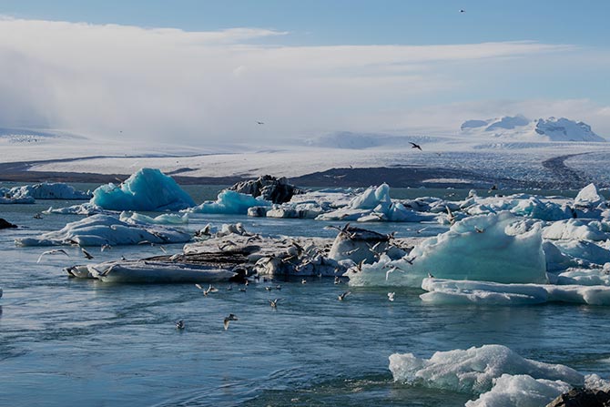 Los 9 límites del planeta y su estado actual: del cambio climático al consumo de agua