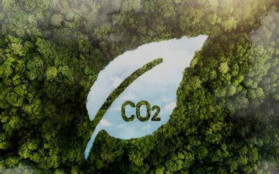 ¿Qué empresas estarán obligadas a calcular su huella de carbono en 2023?