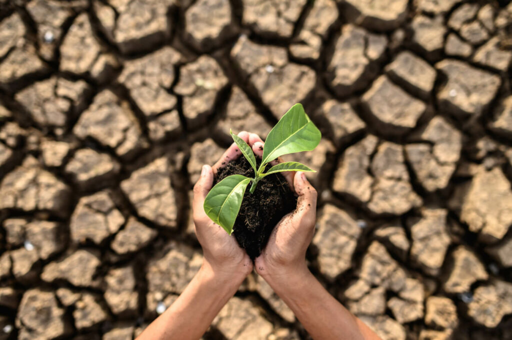 importancia de reducir la huella de carbono